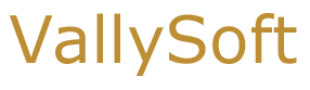 VallySoft, Agence web